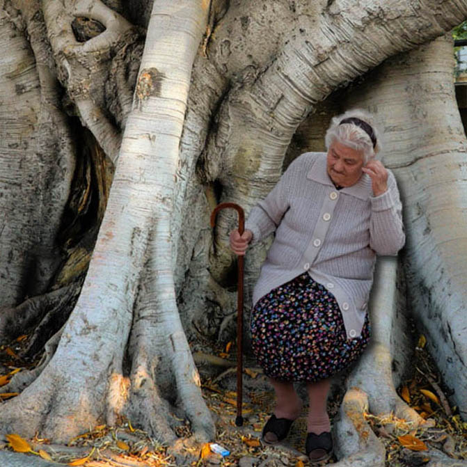 albero.jpg