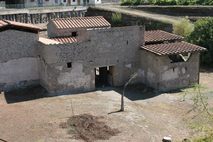 albero.jpg