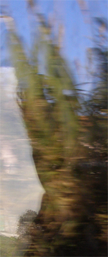 album_pic-2.jpg