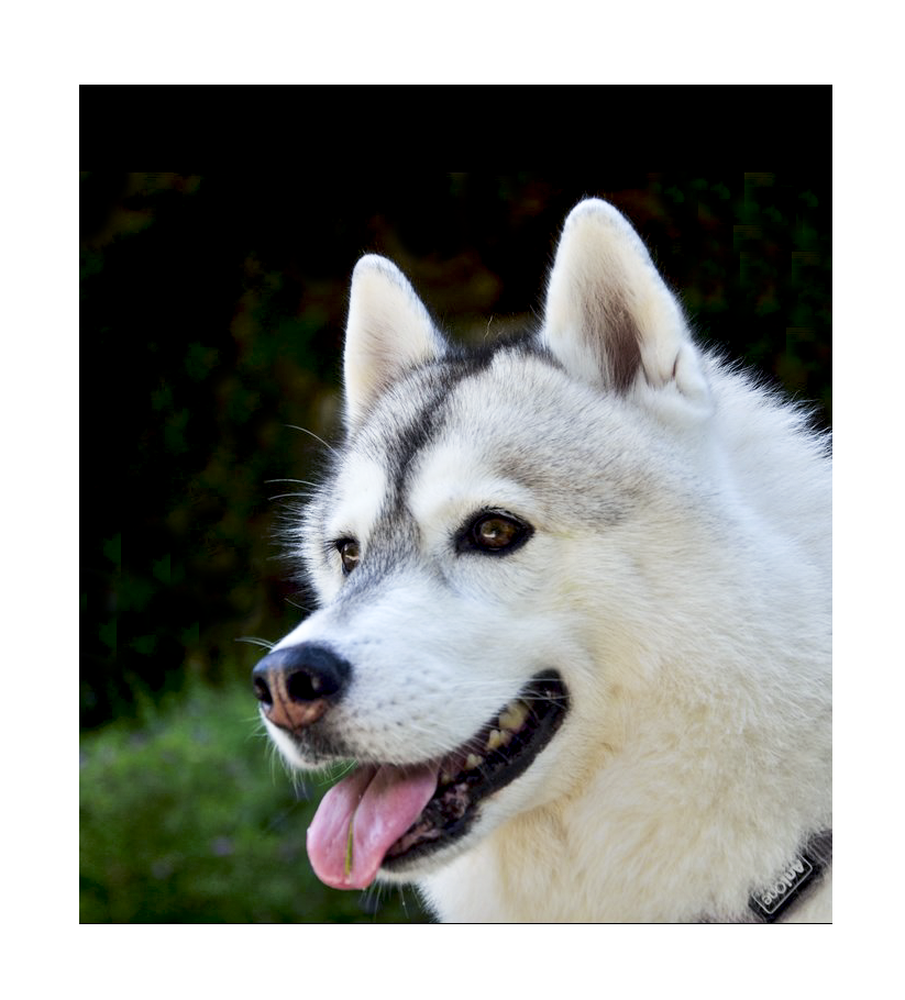album_pic.php.png