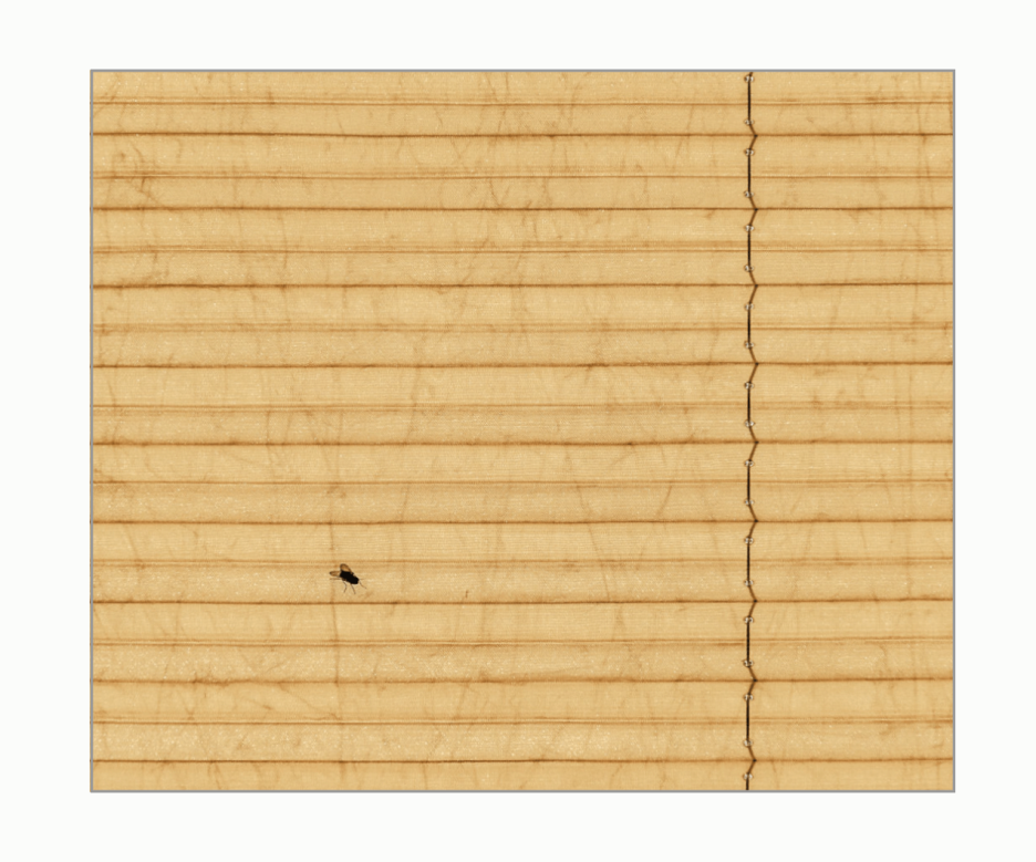 album_pic.php(1).png