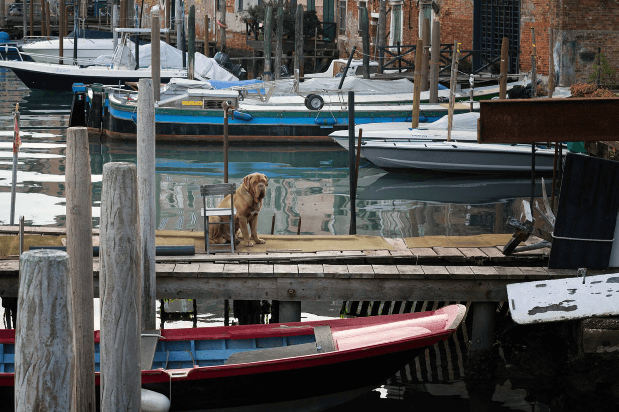 album_pic.php(2).png