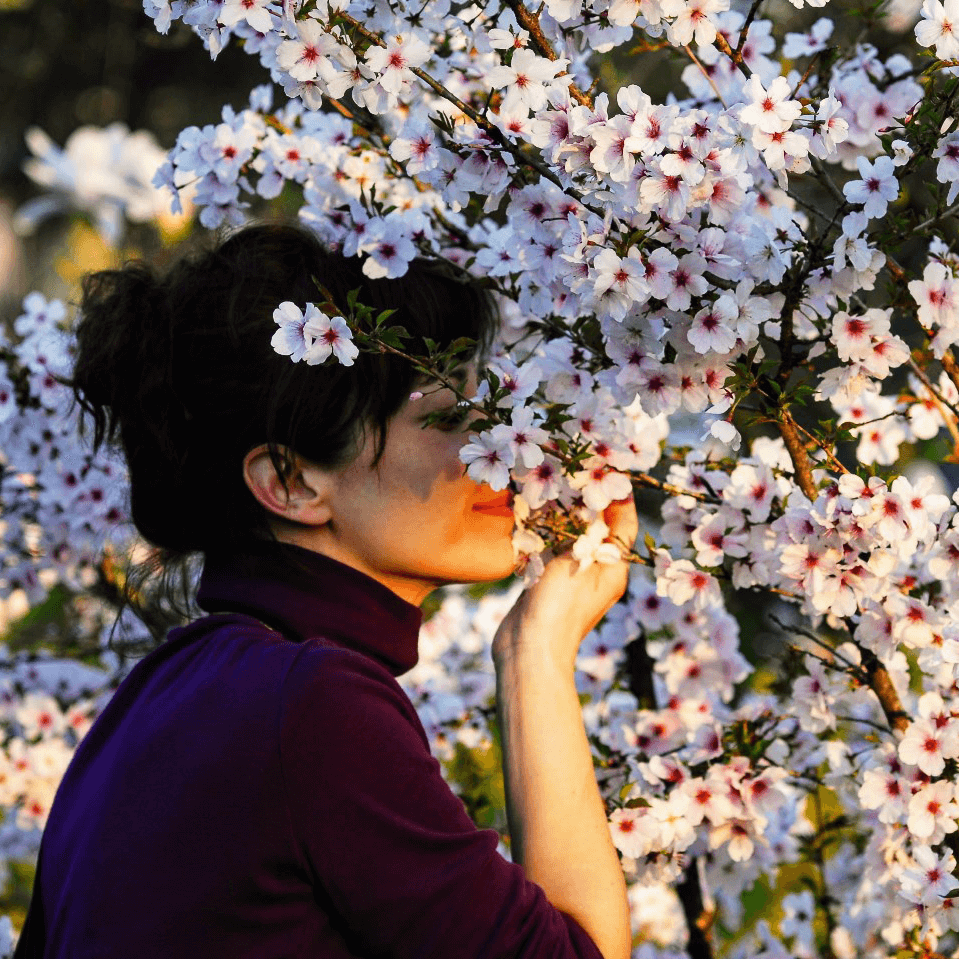 album_pic.php(2).png