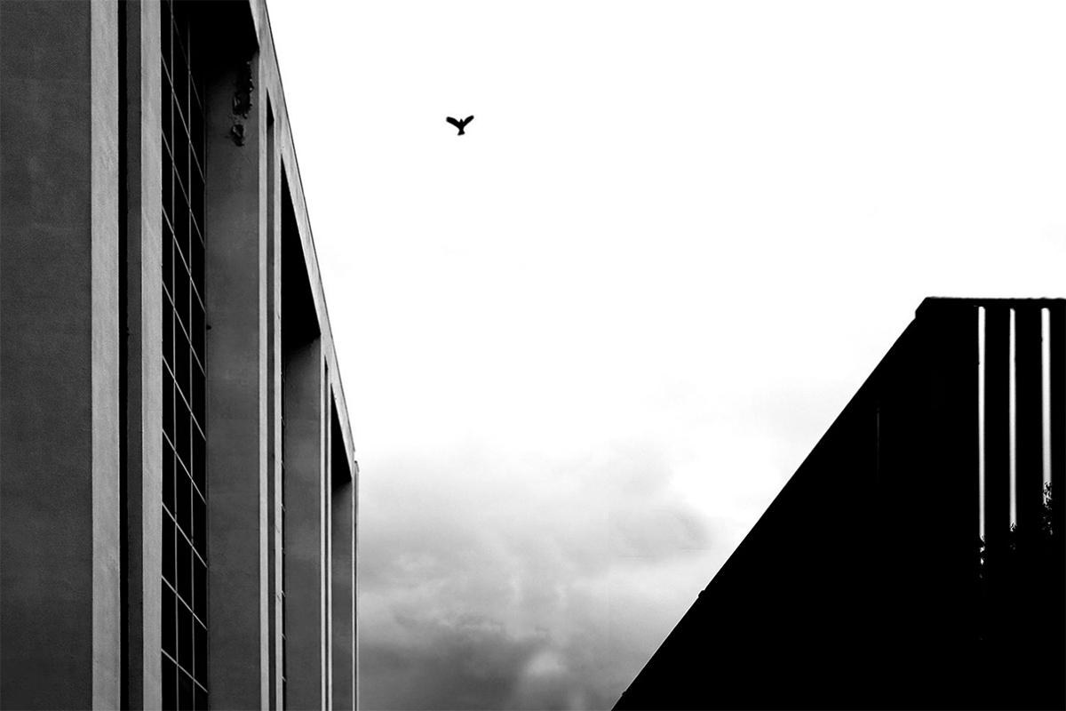 album_pic.php.png
