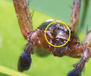 album_pic1.jpg