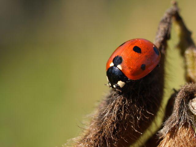 album_pic1 (Small).jpg