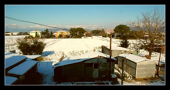 album_pic2.php.jpg