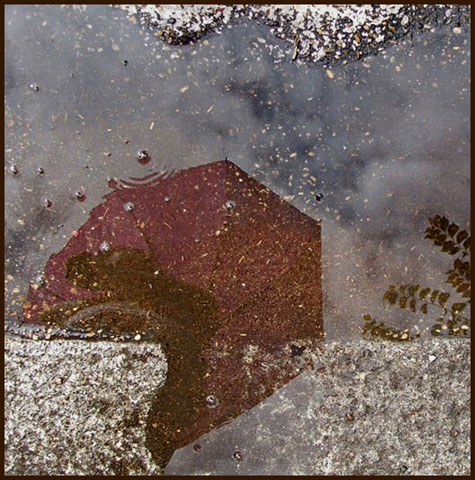 album_pic2.jpg