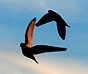 album_pic51.jpg
