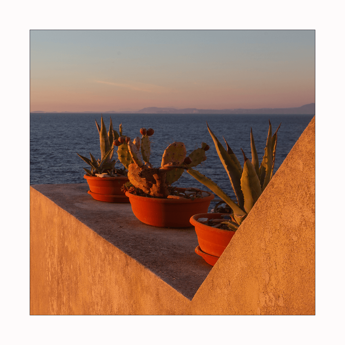 album_pic.png