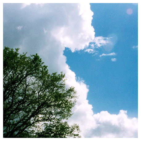 album_pic.jpg