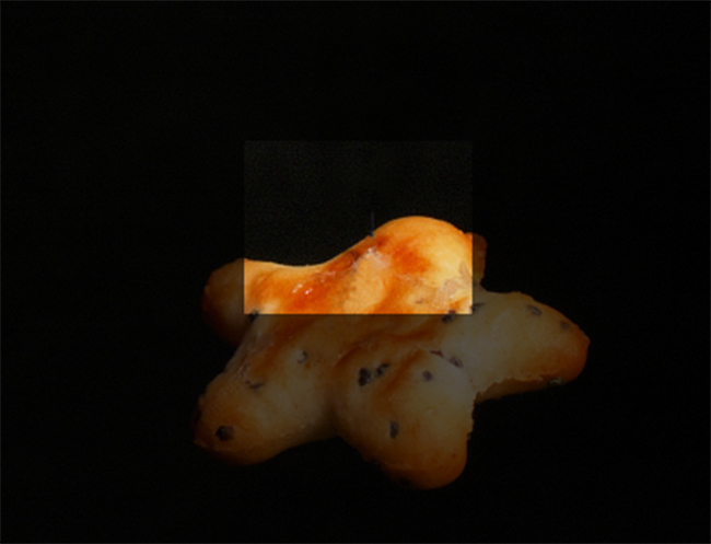 album_pic.jpg