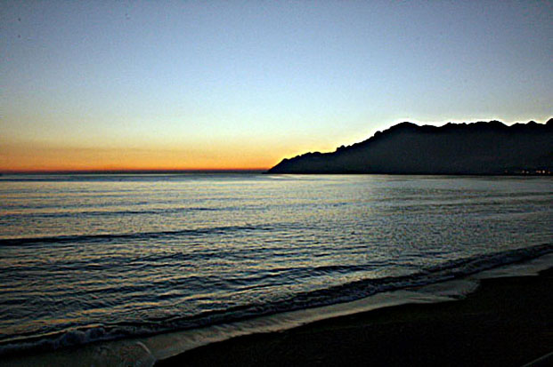 album_pic_477.jpg