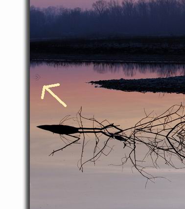 album_pic.jpg