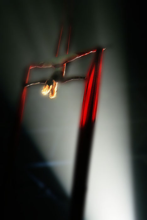 album_pic.jpg
