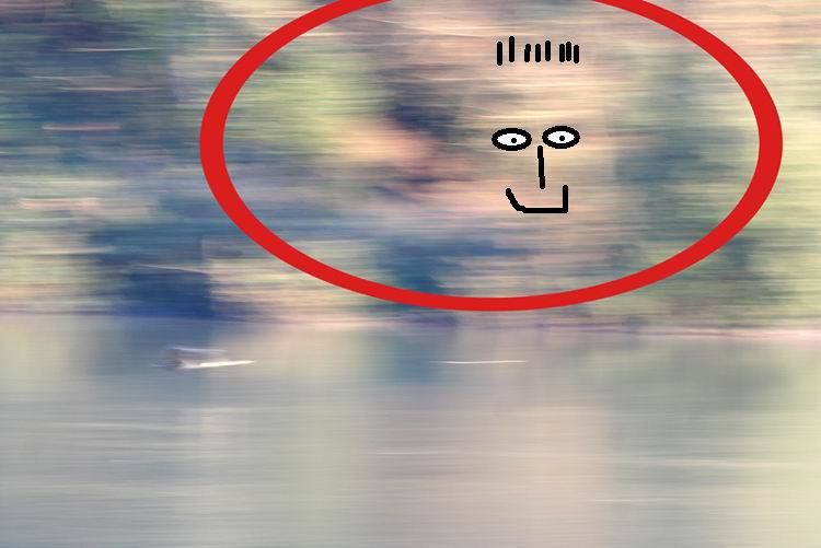 album_pic.jpg