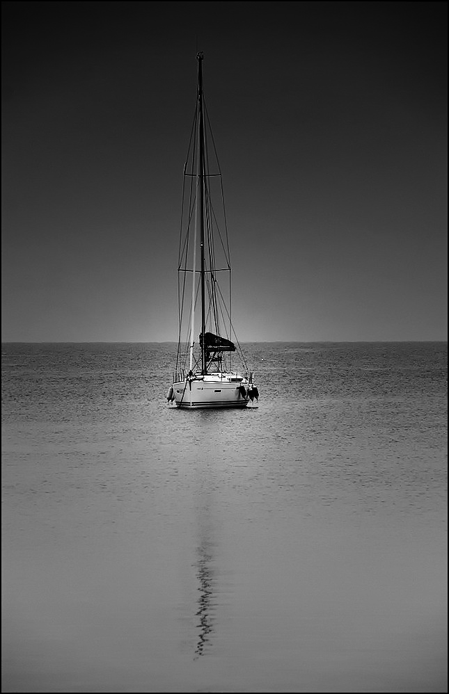 album_pic (1).png