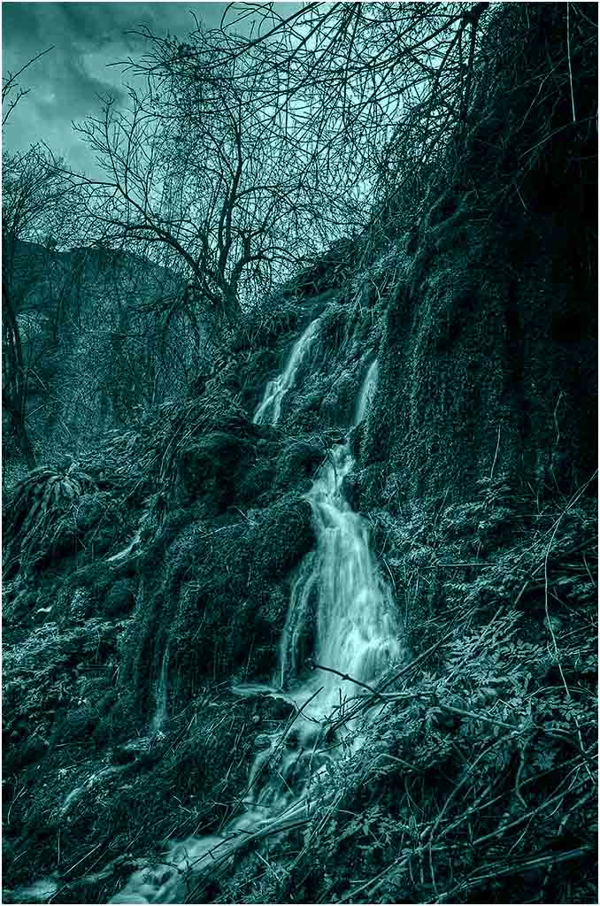 album_pic (1) copia.jpg