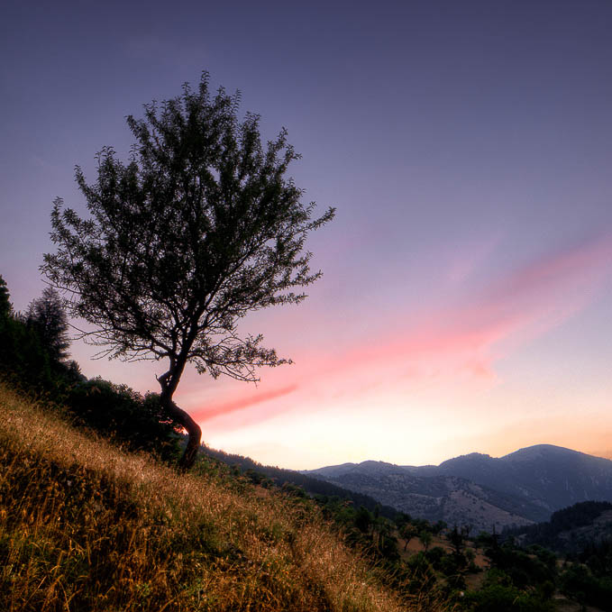 album_pic (2)-2.jpg