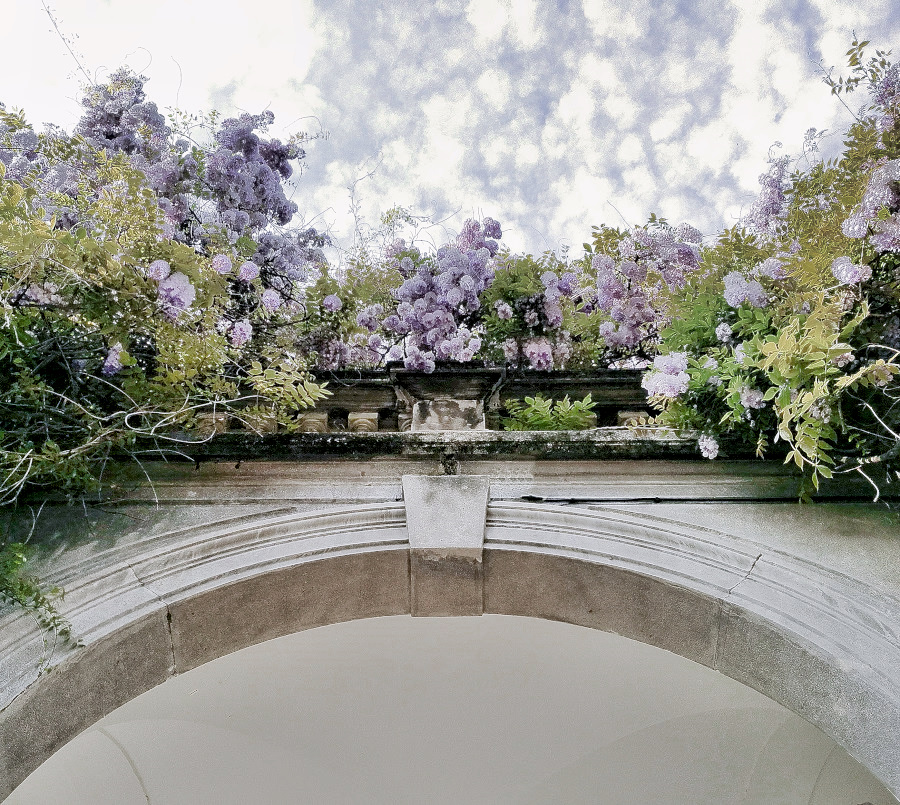 album_pic (7)-1.jpg