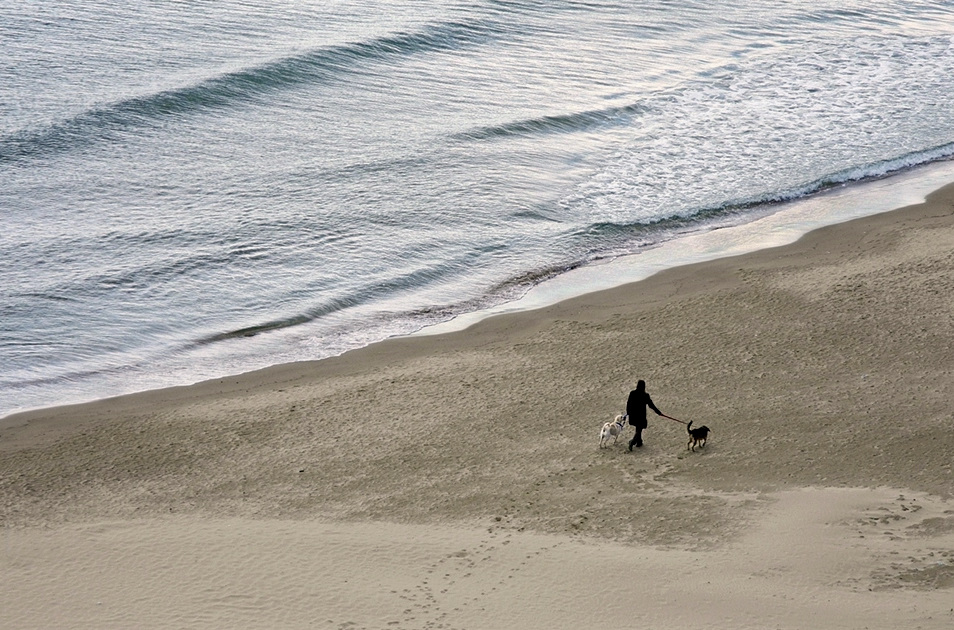 album_pic (8)-1.jpg