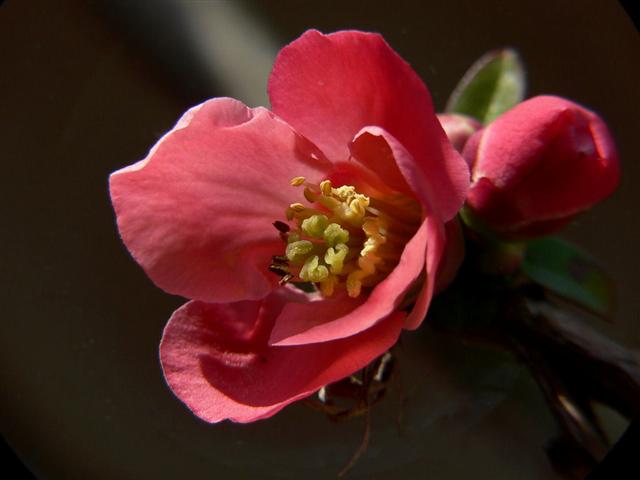 album_pic (Small).jpg