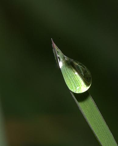 album_pic a (Small).jpg