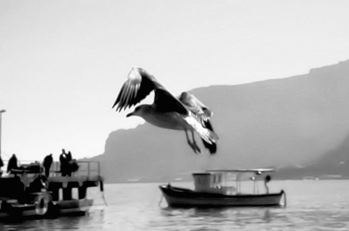 album_pic BW.jpg