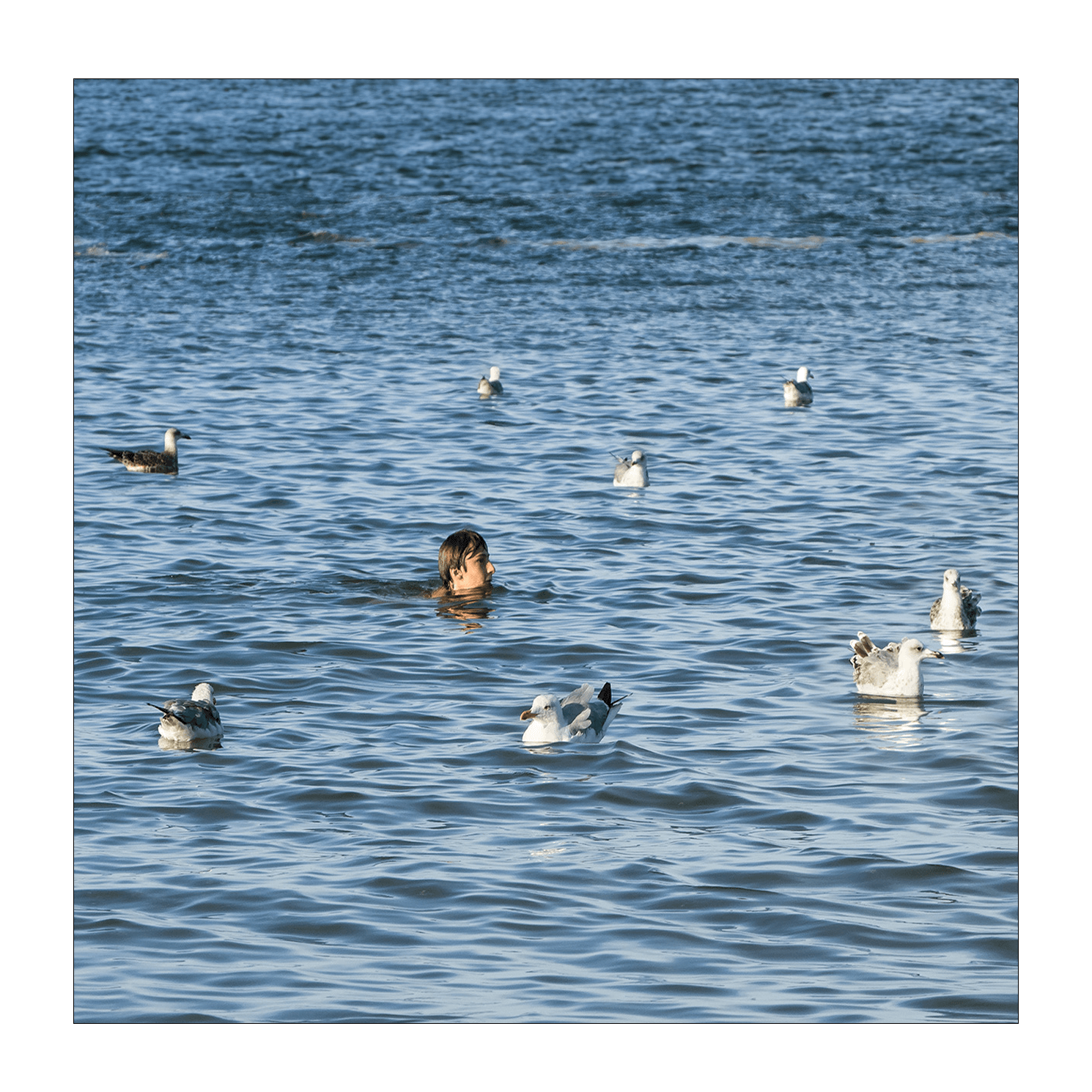 album_pic copia(1).png