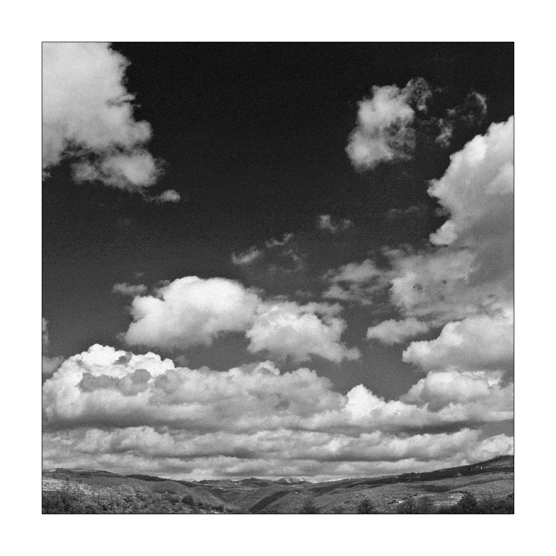album_pic copy.jpg