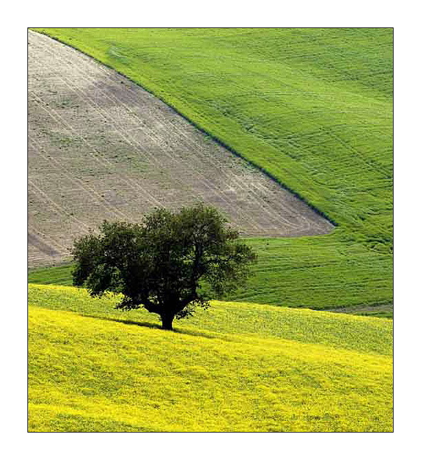 album_pic copy.jpg