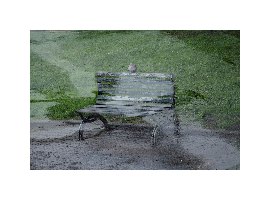 albumpic.jpg