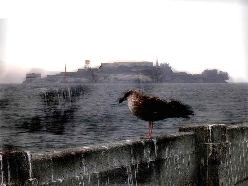 alcatraz.jpg