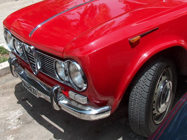 alfetta_muso.jpg