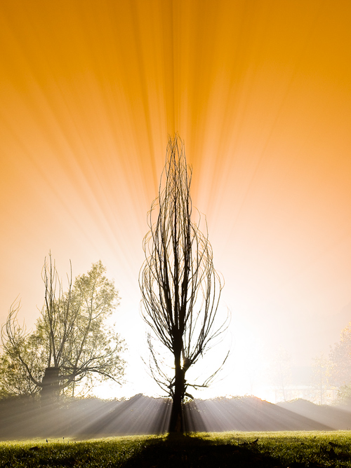 alieno-colore.jpg