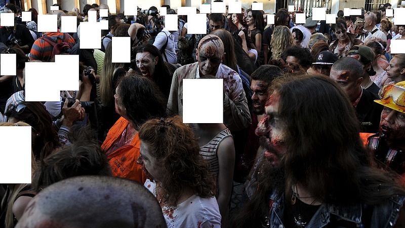 allegato 1.jpg