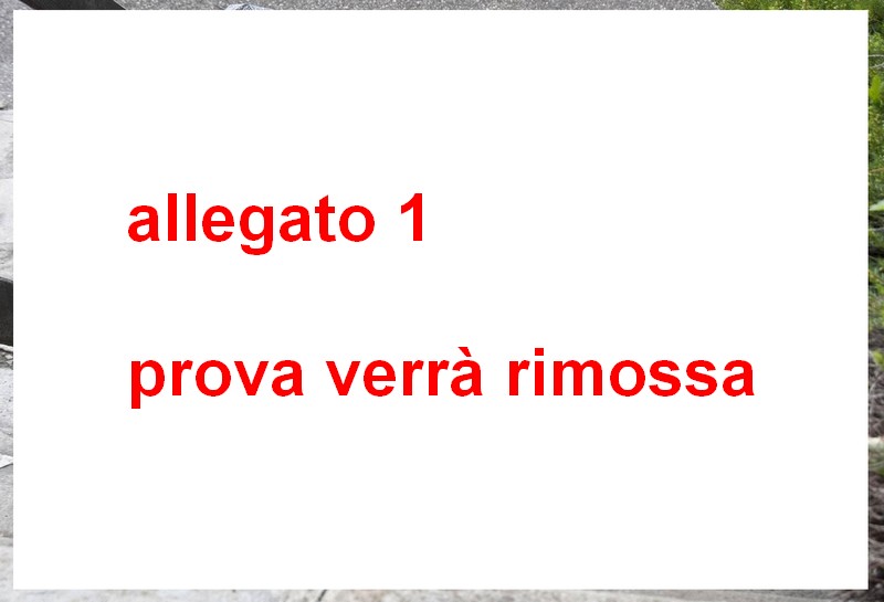 allegato 1.jpg
