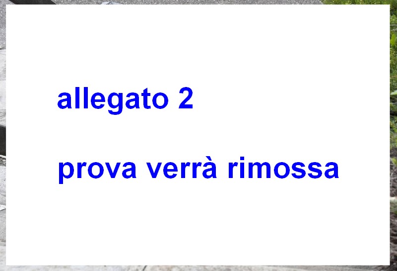 allegato 2.jpg