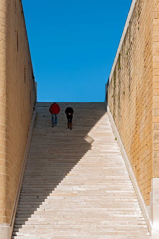 Allegato_a_DSC_4373-.jpg