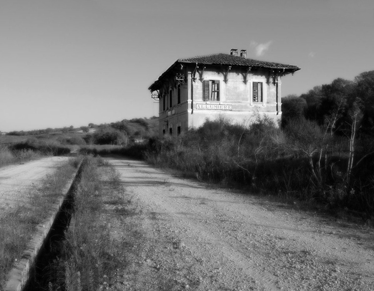allum copia.jpg