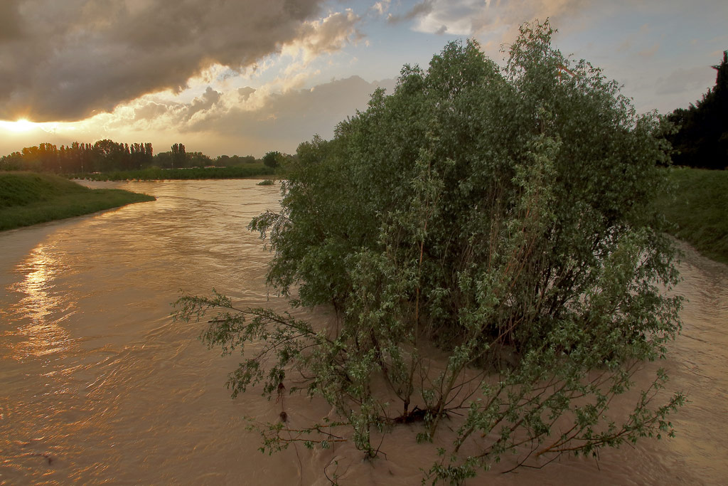 alluvione24.jpg