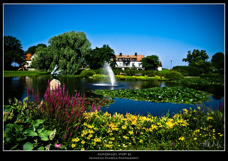 almedalen_2_800.jpg