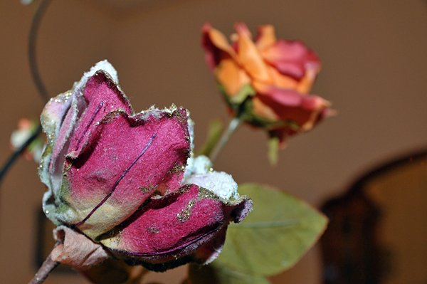 ALX_4790.jpg