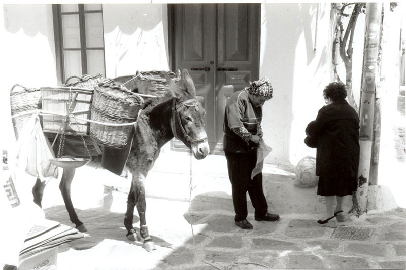 ambulante.jpg