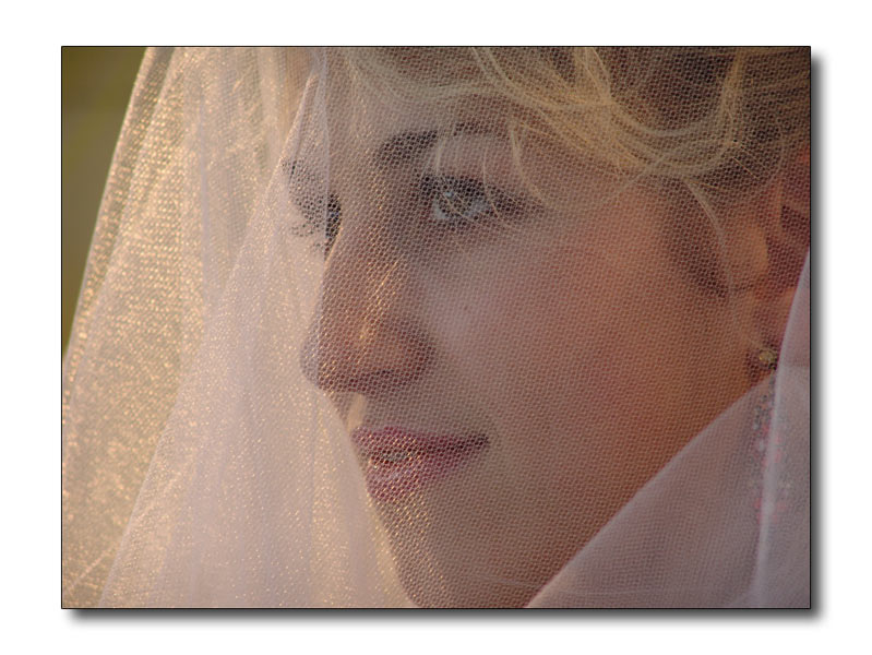 Anastasia-velata.jpg