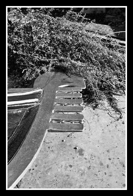 Andrea C. b&w.jpg