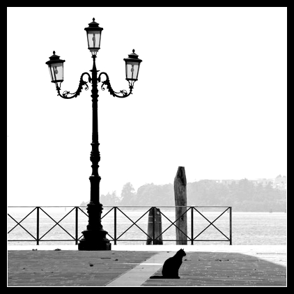 andreacomelato4bn.jpg
