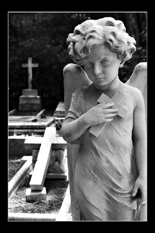 Angel_01.jpg