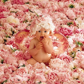 anne geddes.jpg