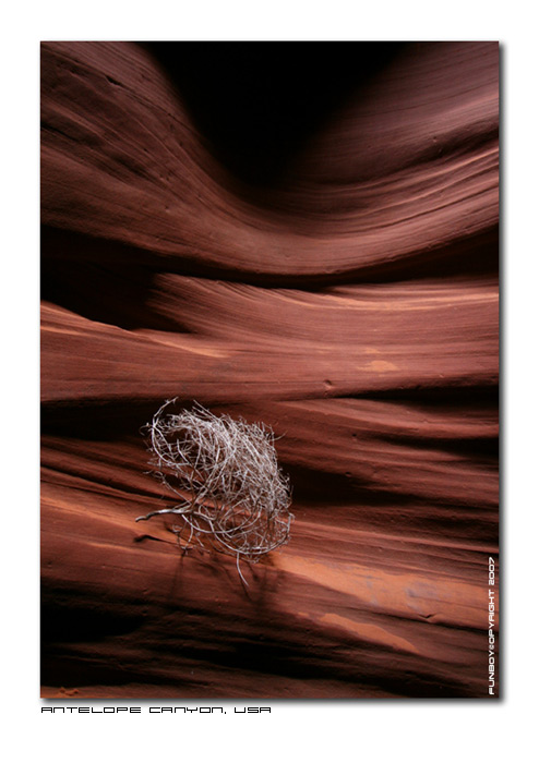 AntelopeCanyonUSA (7).jpg